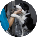 Employee Fund tile